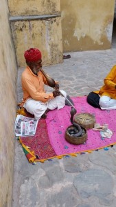 Also, there was a snake charmer!